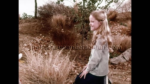 Casting of Melissa Sue Anderson